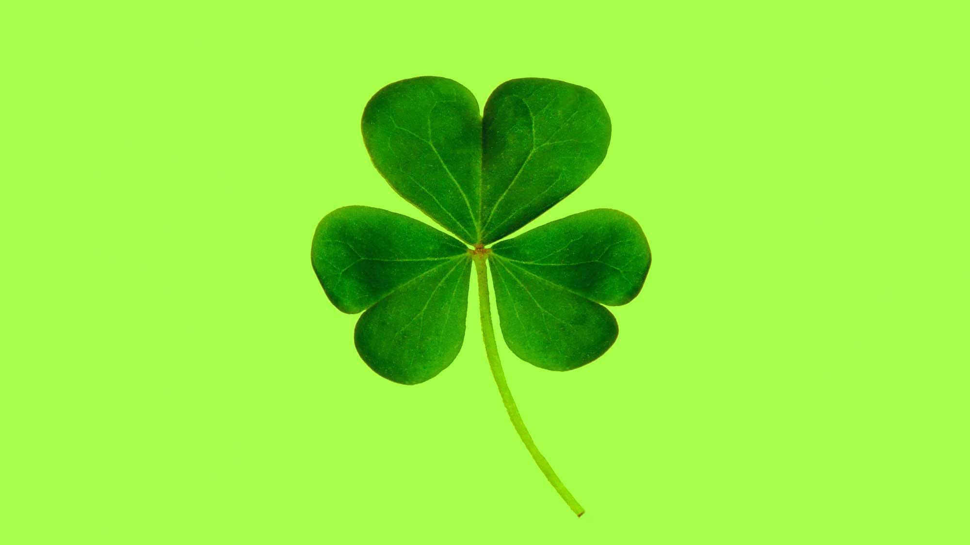 Featured image for “Luck of the Irish”